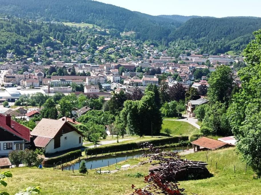 Chalet De Standing 14 Personnes Gerardmer Exterior photo